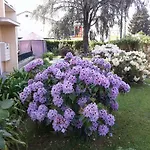 Les Floralies